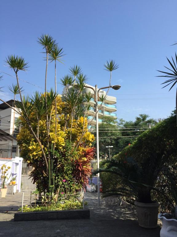 里约热内卢Casa aconchegante em Vila Valqueire的一条种有棕榈树和街灯的街道
