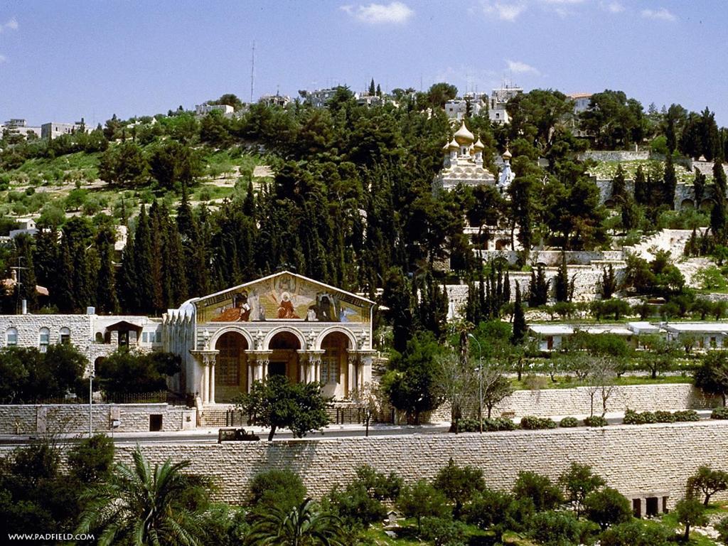 耶路撒冷耶路撒冷全景酒店 的山上的大建筑