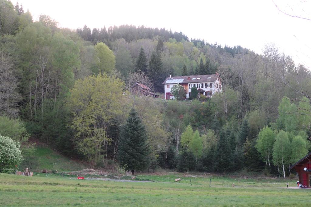 Ban-sur-Meurthe-ClefcyBnB chambres d'hôtes le Chêne的山边的房子