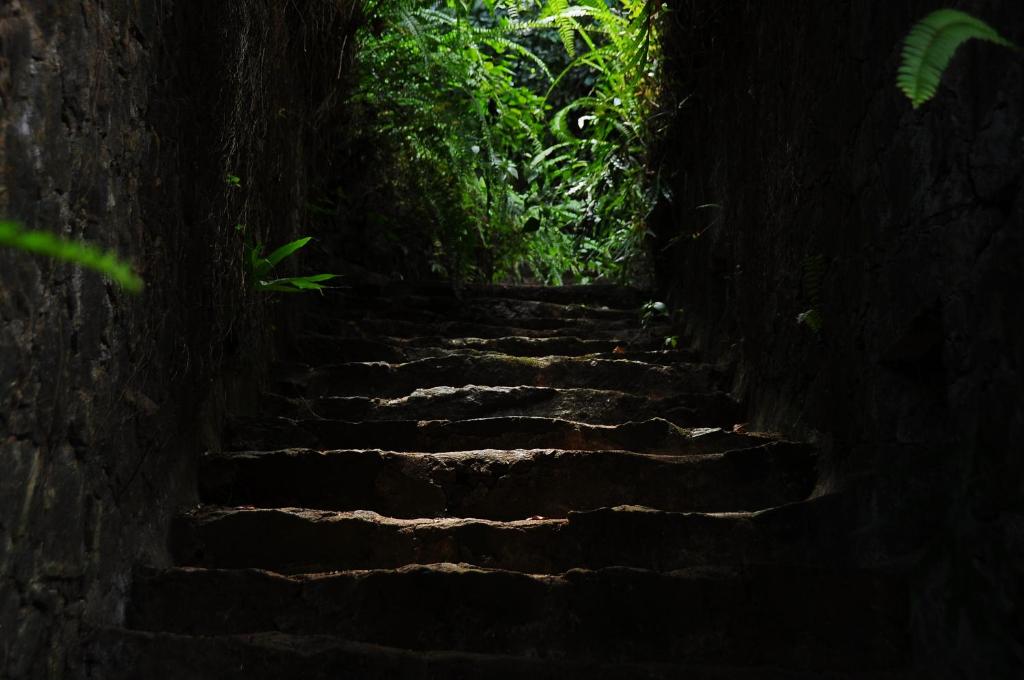 Kalawana博尔德花园旅馆的通往黑暗洞穴的石阶