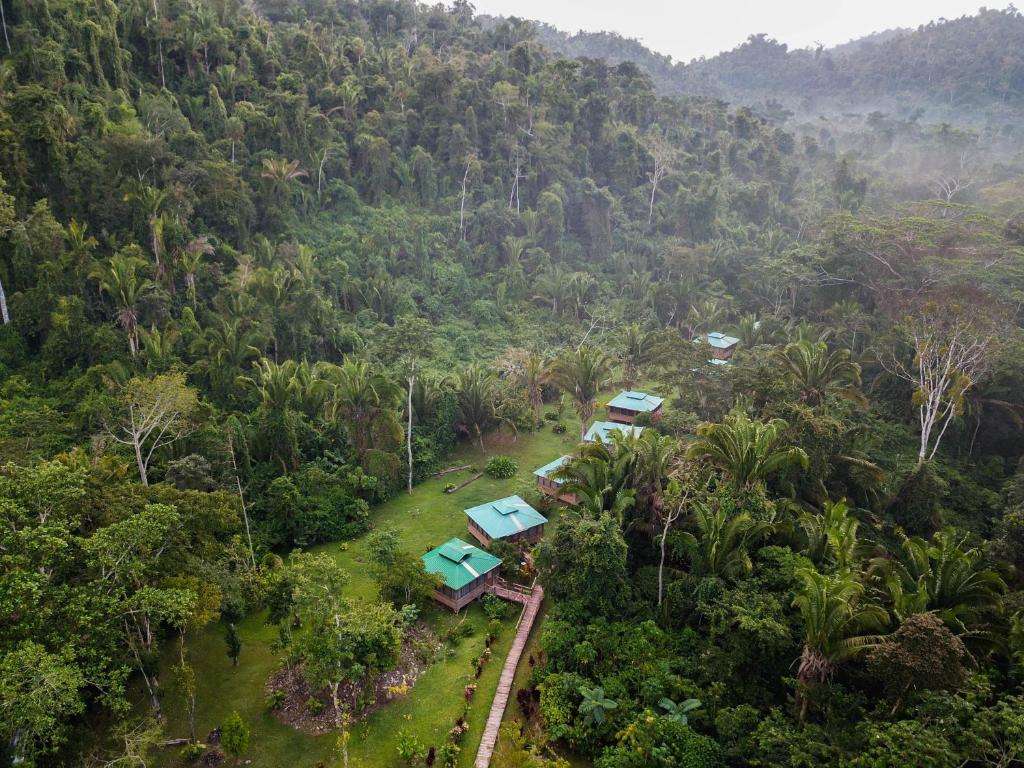 Good Living CampJaguar Creek的森林的空中景观,房屋群