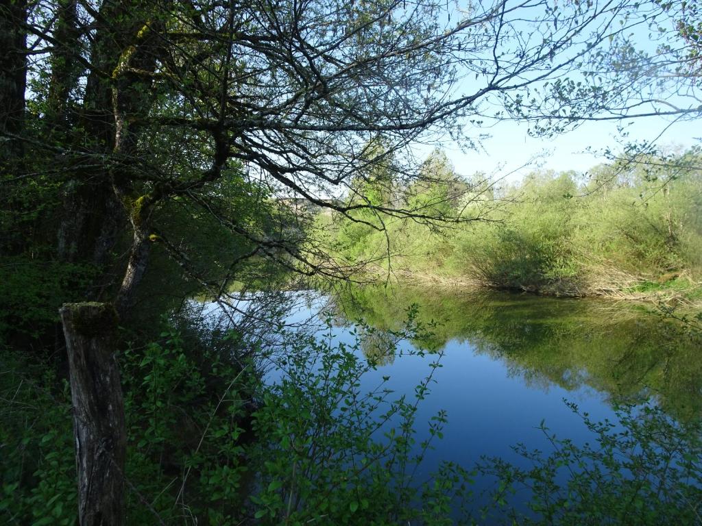 Montigny-sur-lʼAinLa Chambre des Carrelets的水中倒出树的河流