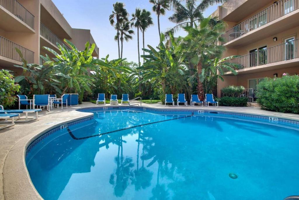 南帕诸岛Beachfront convenience w/o the beachfront price!的一座游泳池,位于酒店,拥有蓝色的椅子和棕榈树