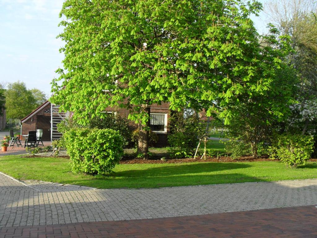 BerumburFerienhof Schlachter的房子前面的一棵大树