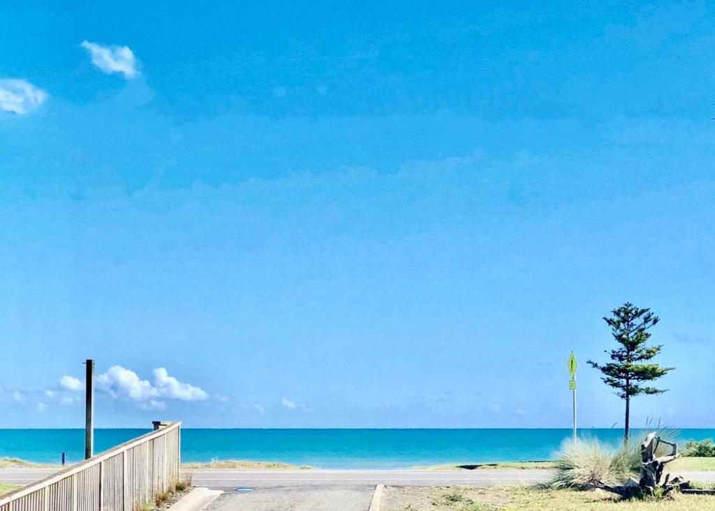 Otaki BeachOtaki Beachfront Getaway的一条通往海滩的道路,一条有树和大海的道路