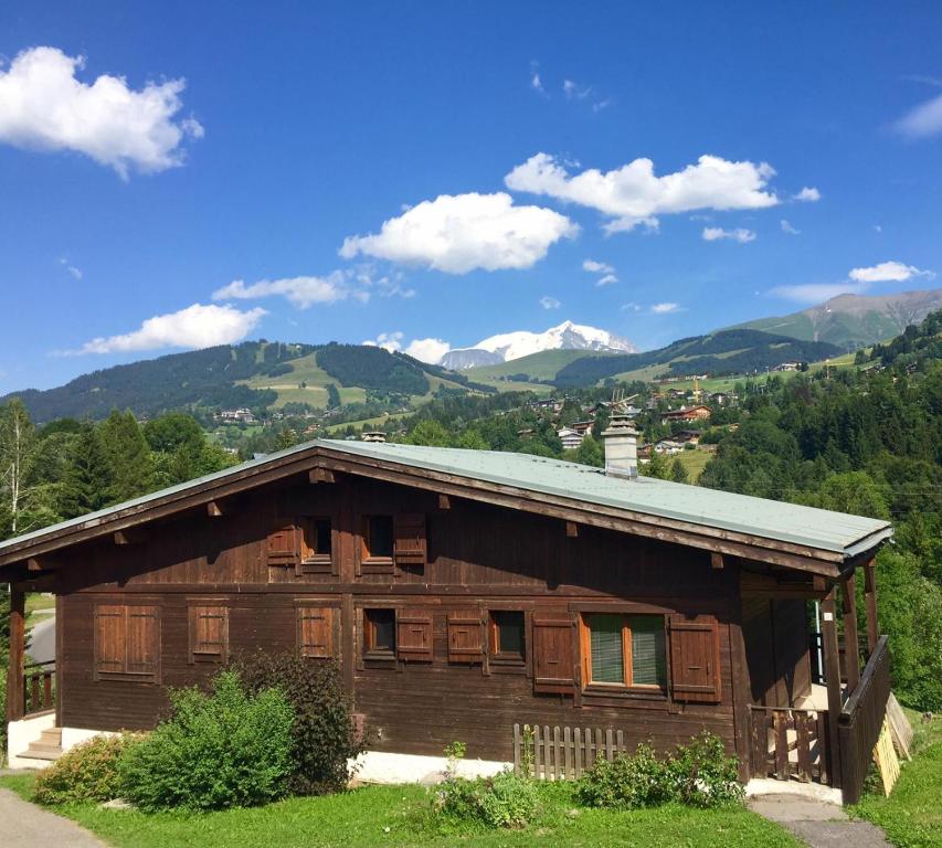 梅杰夫Close to the village - Chalet 4 Bedrooms, Mont-Blanc View的山地木屋