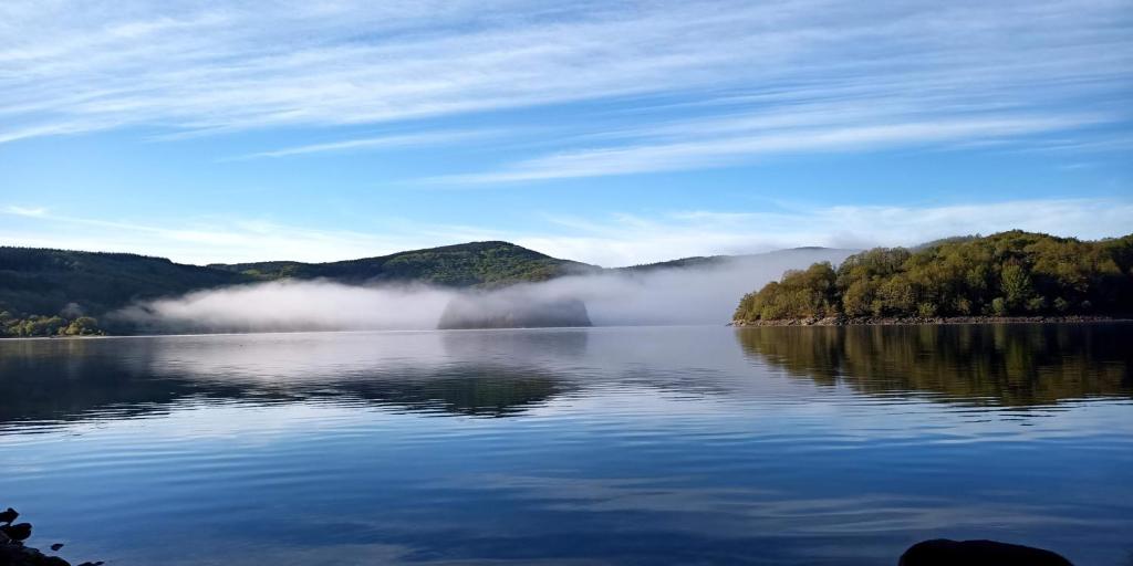 NagesLes Fées du lac ***的享有湖面上树木和雾 ⁇ 的景色