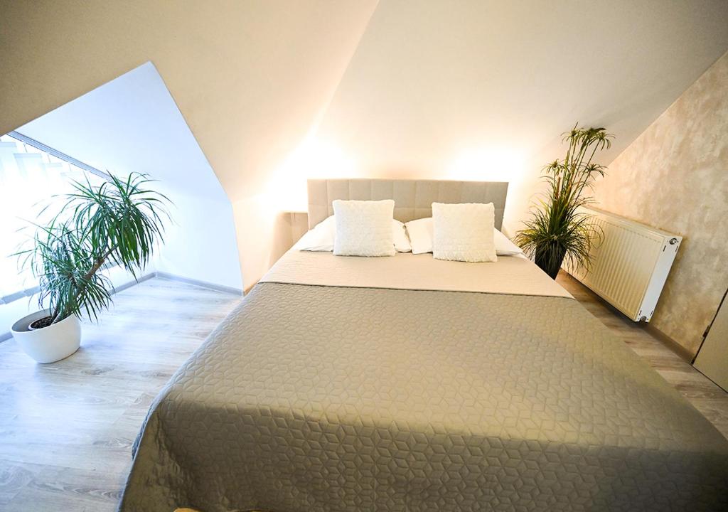 特伦钦普利巴库旅馆的一张大床,位于两棵植物的房间
