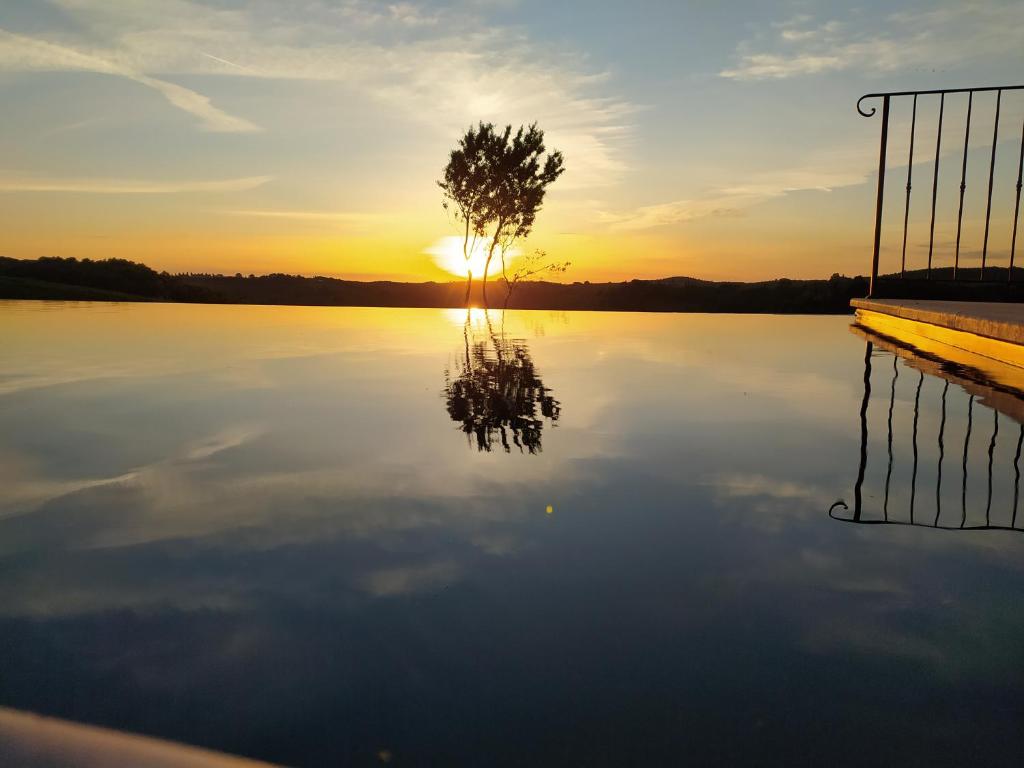 蒙特普齐亚诺拉皮耶薇娜酒店的水中一棵树,在背后日落