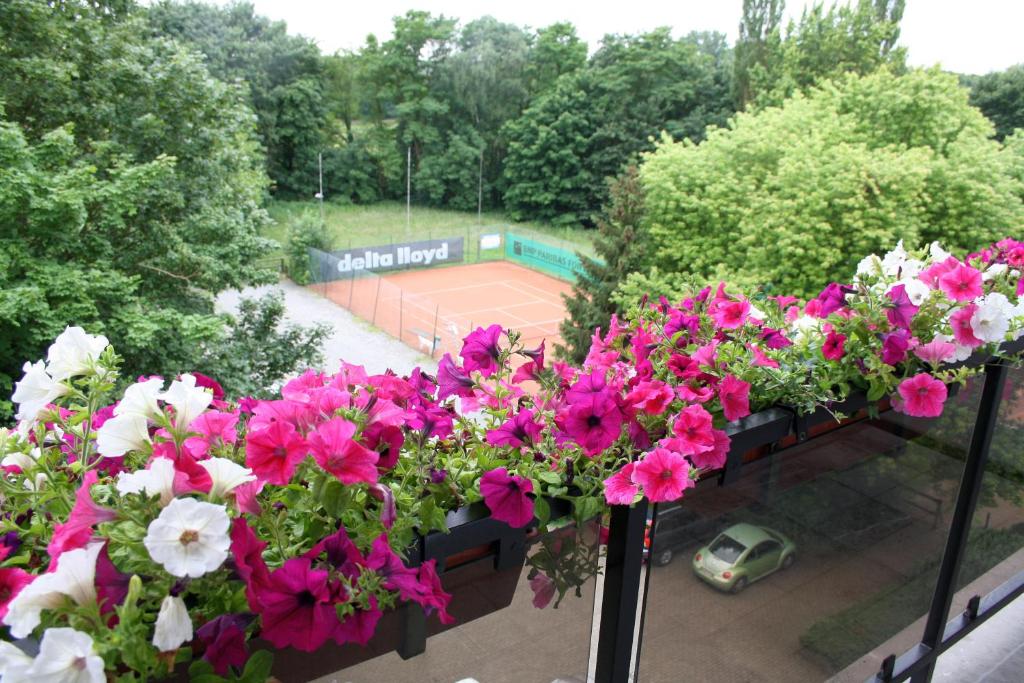 奥纲赖泽全景酒店的阳台上的一大束鲜花,还有一个网球场