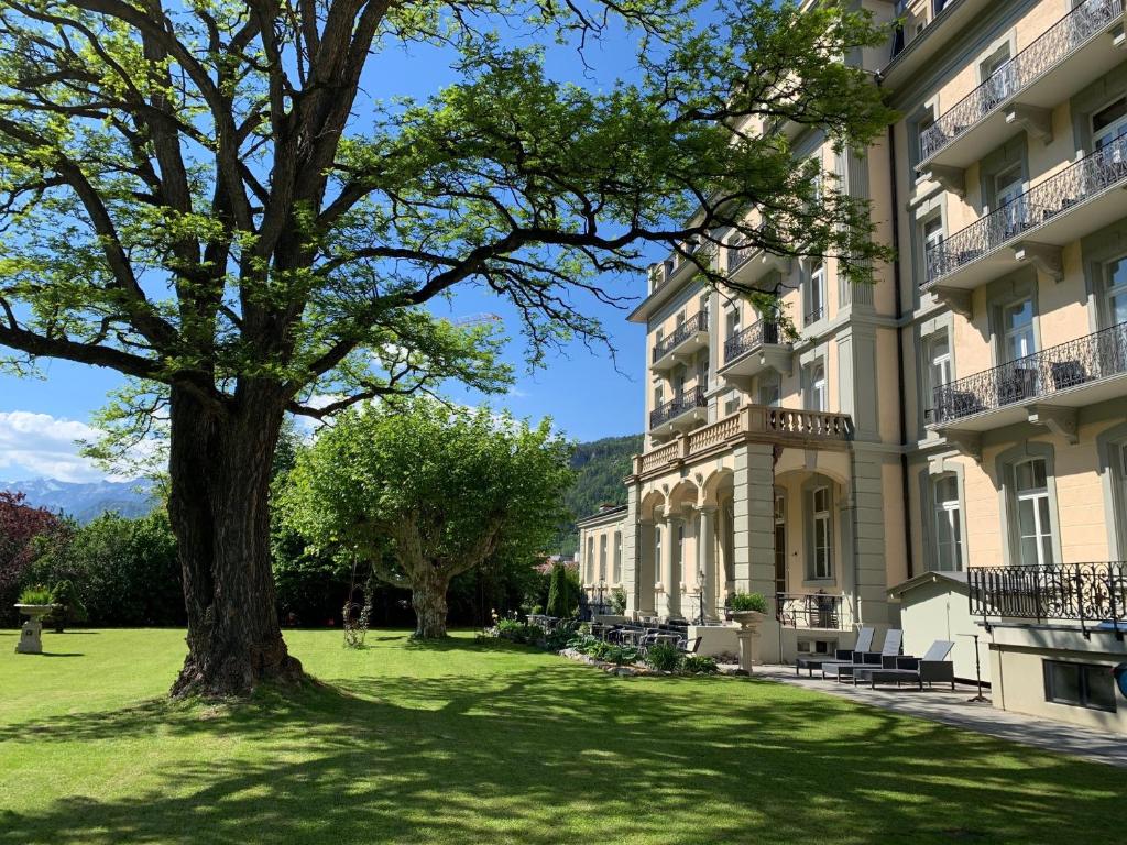 迈林根索瓦热公园酒店的前面有一棵树的大建筑