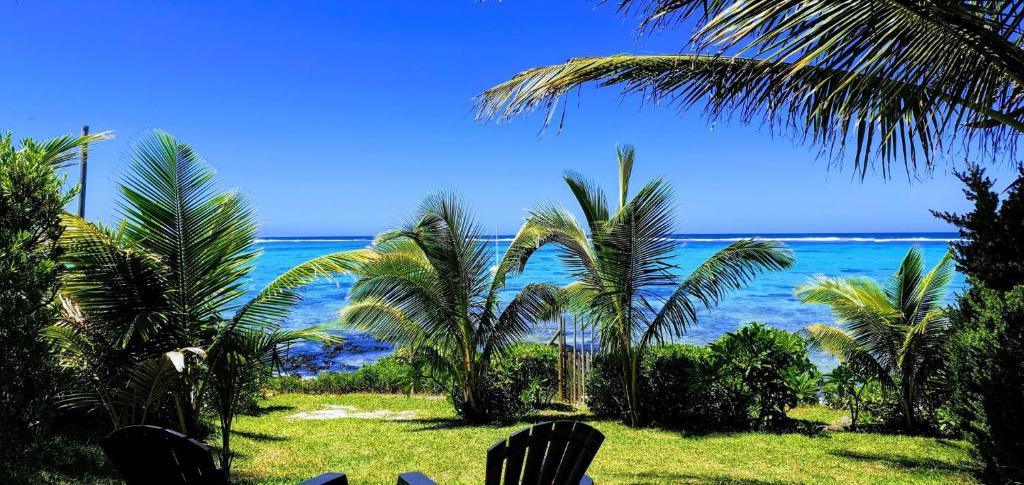 蓝海湾杜拉冈别墅酒店的棕榈树海滩上的海景