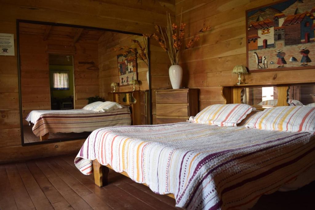 阿拉胡埃拉Hotel Chalets Los Volcanes的小木屋内一间卧室,配有两张床