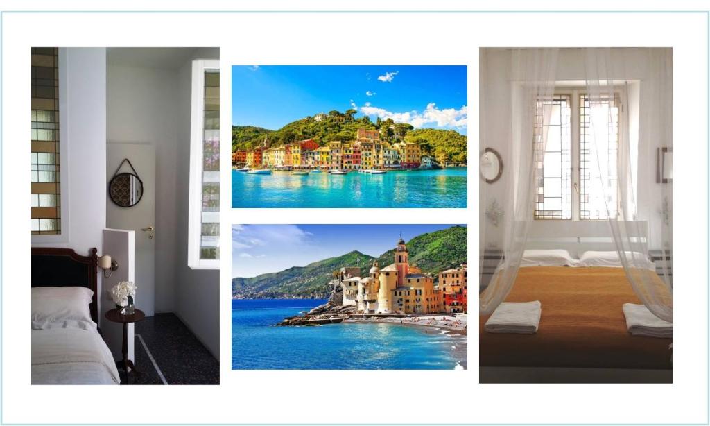 圣玛格丽塔-利古雷Plan Sea Guest House的城市和湖泊图片的拼合