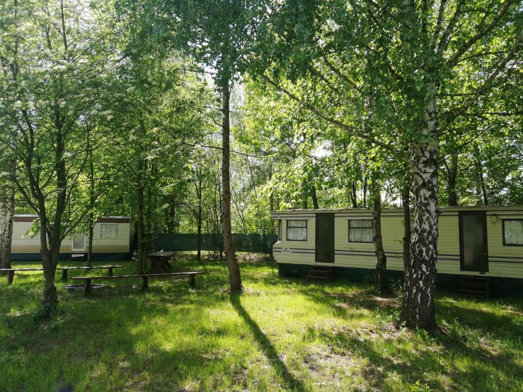 塔尔诺布热格Domki nad Jeziorem Tarnobrzeskim的树林里一群移动房屋