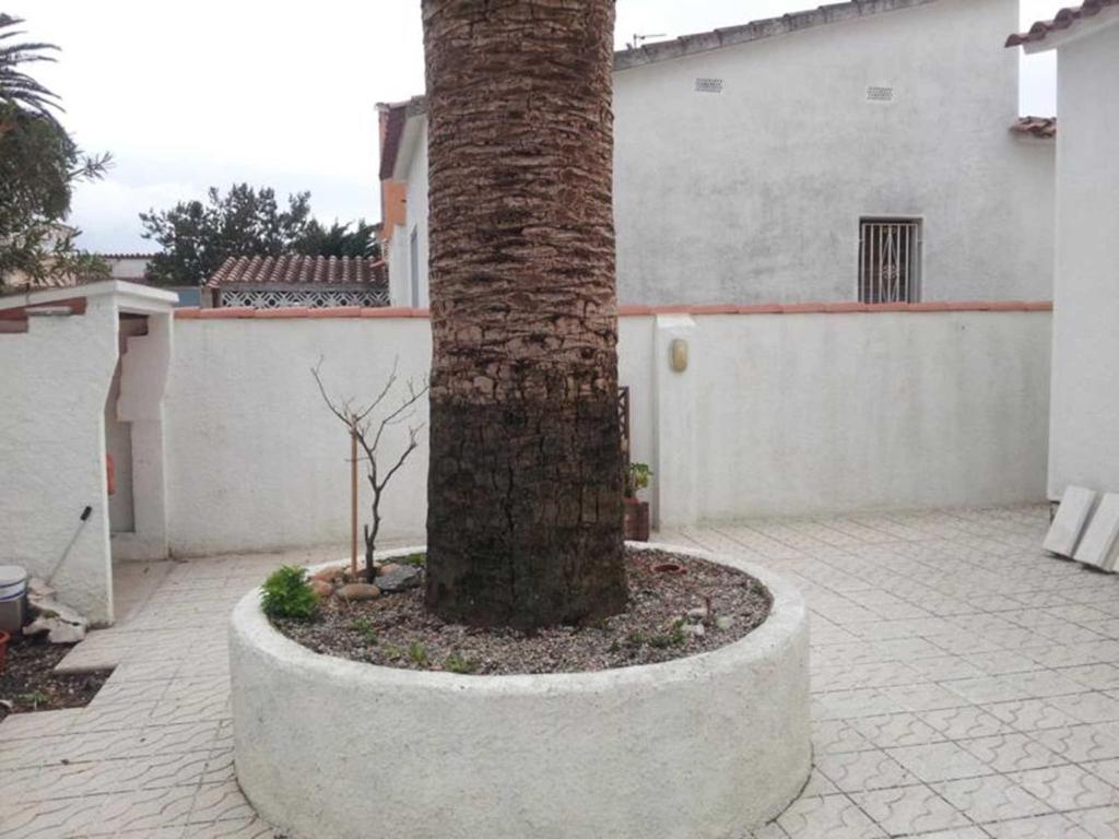 艾姆布里亚布拉瓦ALBERES 61-B EmpuriaRent的一座建筑物旁的混凝土圆圈中的棕榈树