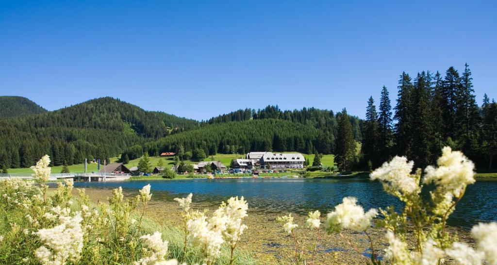 泰哈姆山麓弗拉德尼茨泰奇维尔特酒店的享有湖景,建筑背景