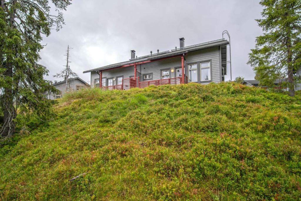 鲁卡Ski-Inn MastonAitio的草山顶上的房子