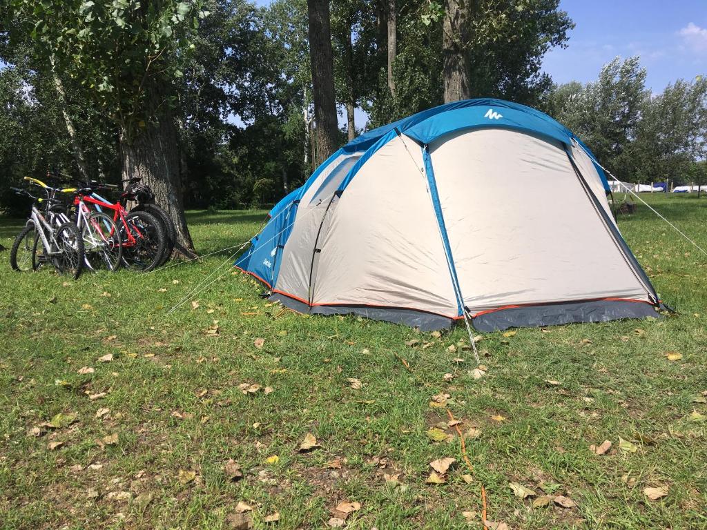 蒂萨菲赖德Tóparti Camping的田野上的蓝色和白色帐篷,配有自行车