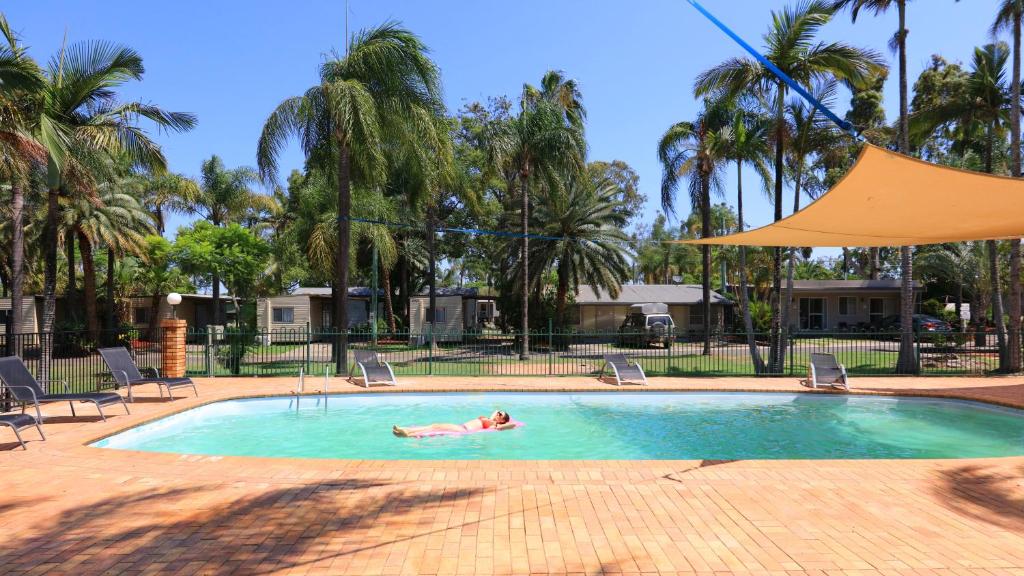 格拉夫顿格伦伍德旅游公园及汽车旅馆的在棕榈树泳池游泳的人