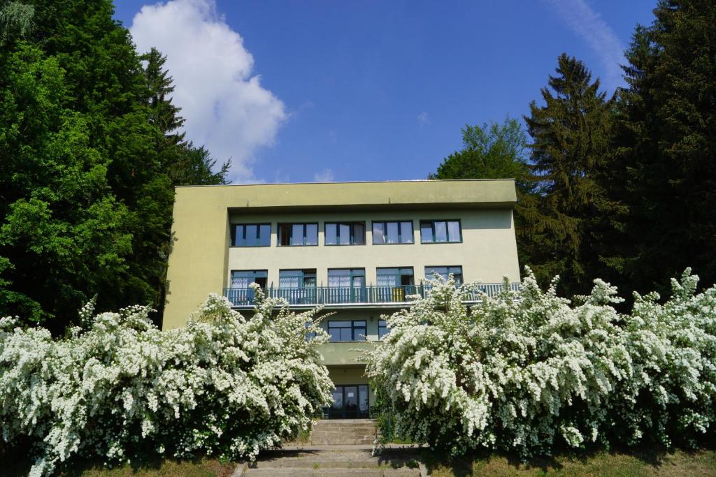 VolfířovHotel Chytrov的前面有白色花卉的建筑