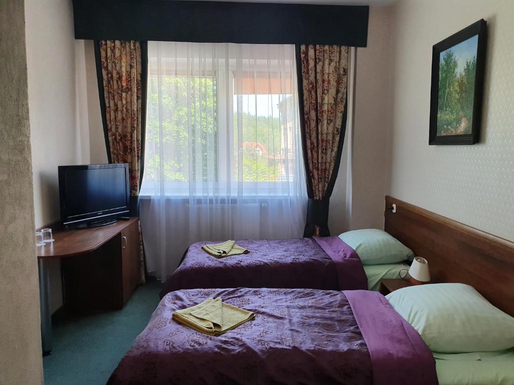 格武霍瓦济Hotel Sudety的酒店客房设有两张床和电视。