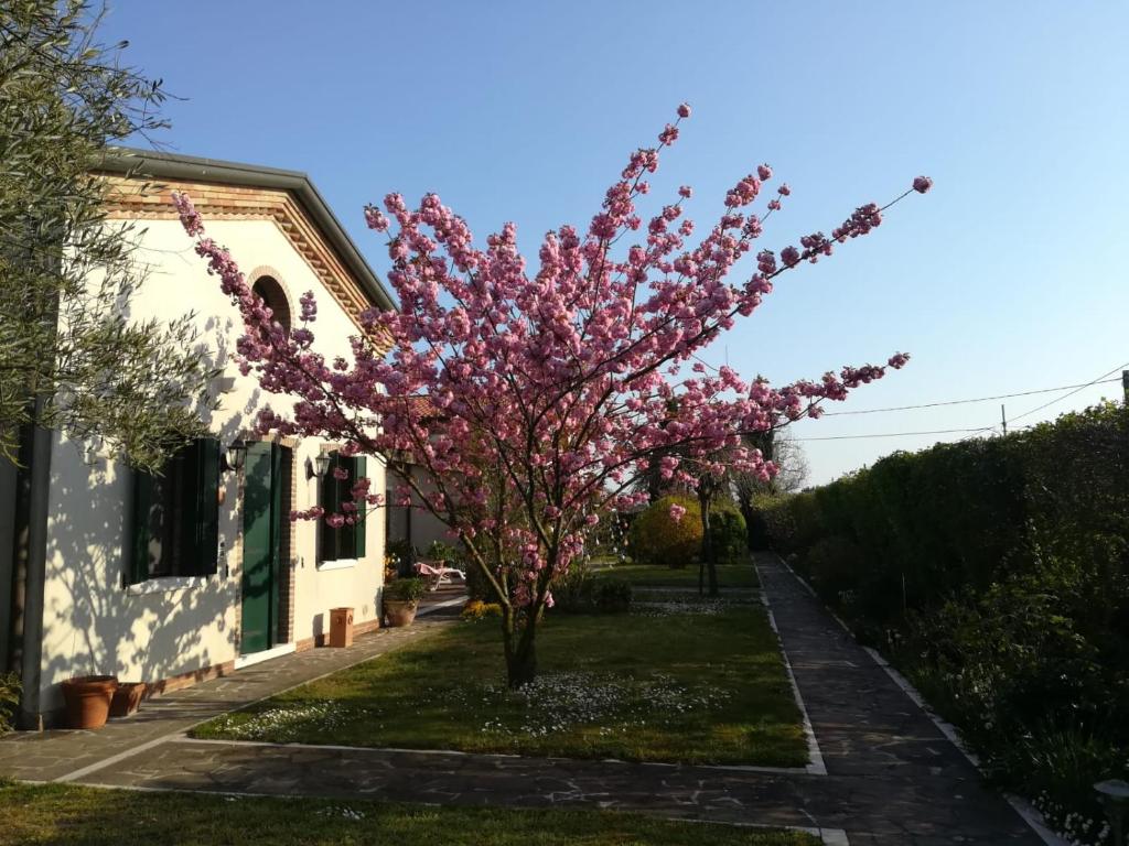 卡瓦利诺Casa Pianta的一座花粉的房屋前的树