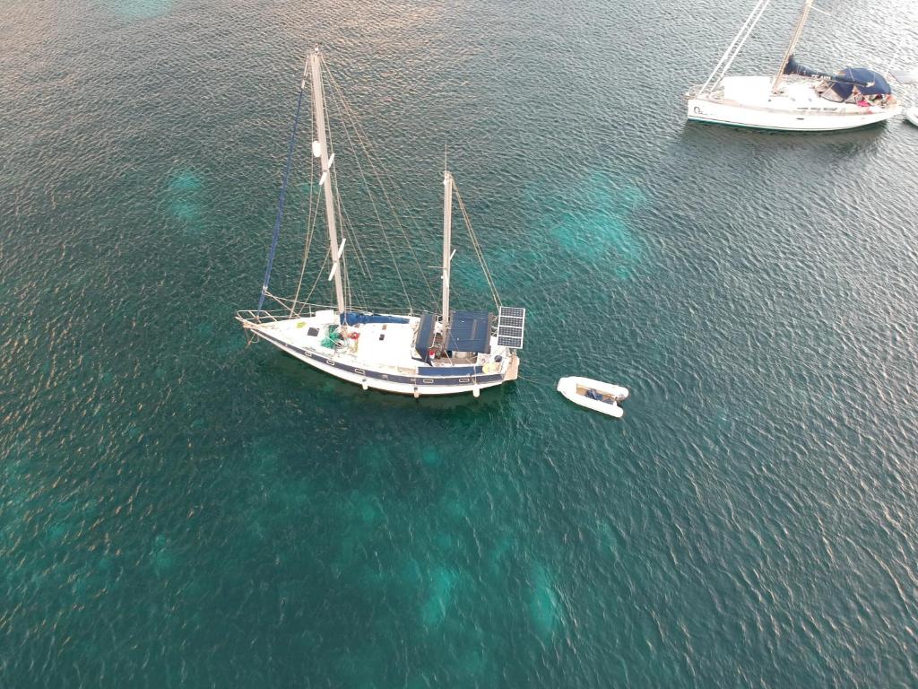 莱昂斯-达赫雷ATAO Plongee的水中两艘船的空中景观