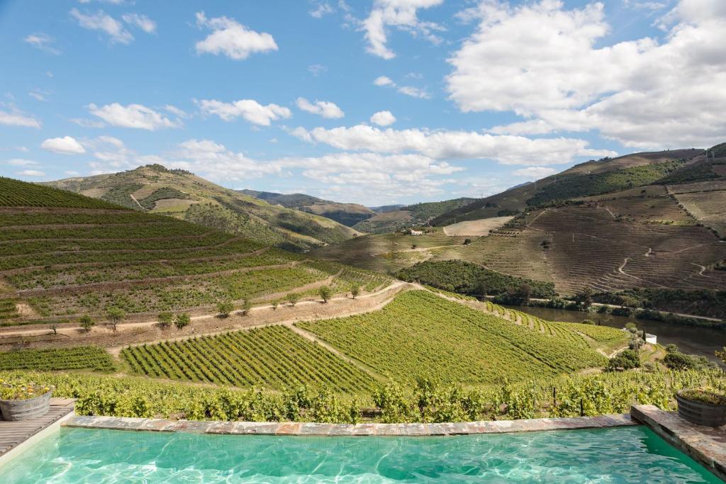 皮尼昂Quinta Nova Winery House - Relais & Châteaux的享有葡萄园和山谷中游泳池的景色