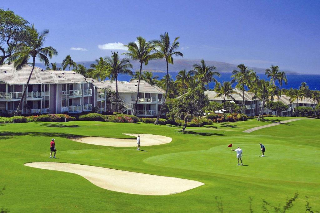 维雷亚Wailea Grand Champions Villas - CoralTree Residence Collection的一群人在高尔夫球场打高尔夫