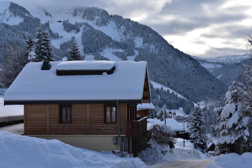 沙泰勒Chalet le Petit Ramoneur的山地雪覆盖的房子