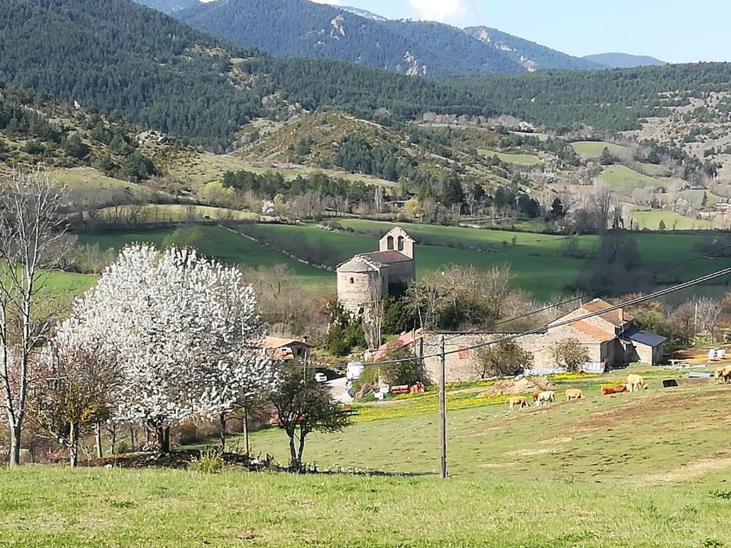 贝尔维尔德赛当亚Alberg Rural La Rectoria de Pedra的一个小村庄,有教堂和饲养牛的田野