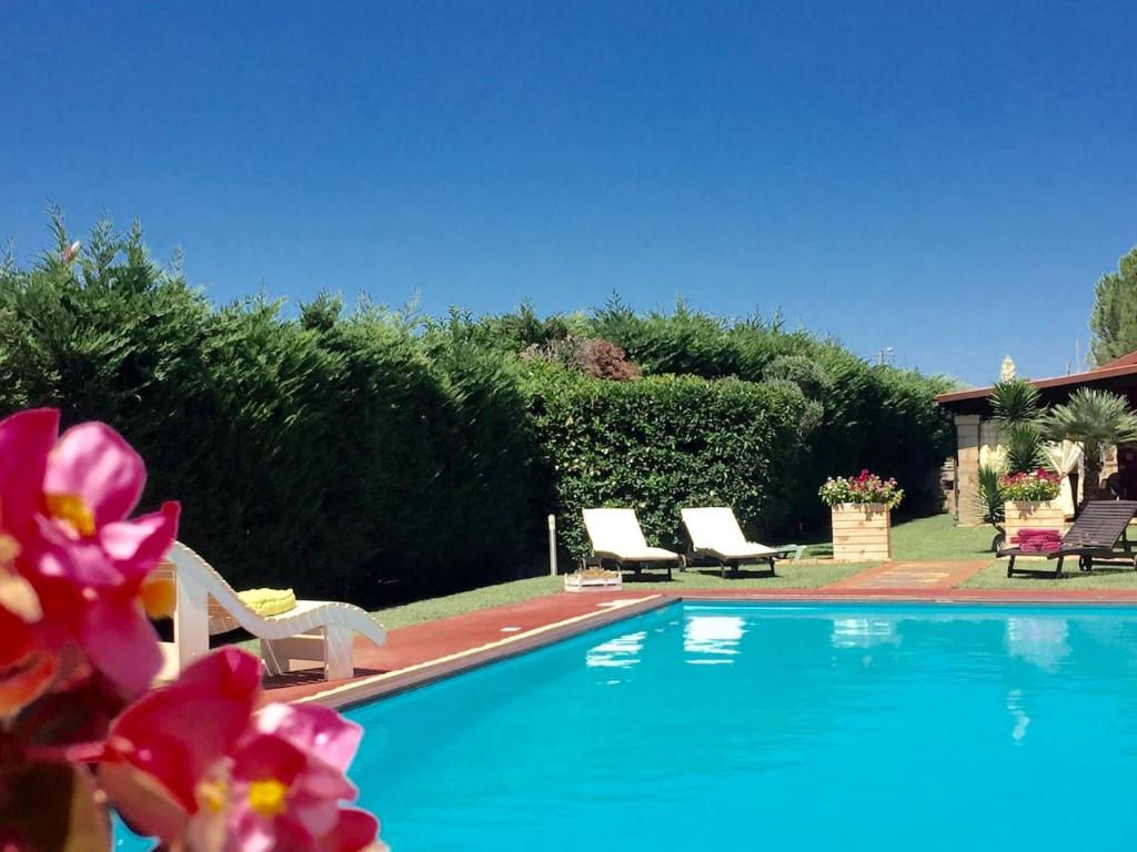 圣维托诺曼3 bedrooms villa with private pool enclosed garden and wifi at San Vito dei Normanni 9 km away from the beach的一个带两把草坪椅和一些鲜花的游泳池