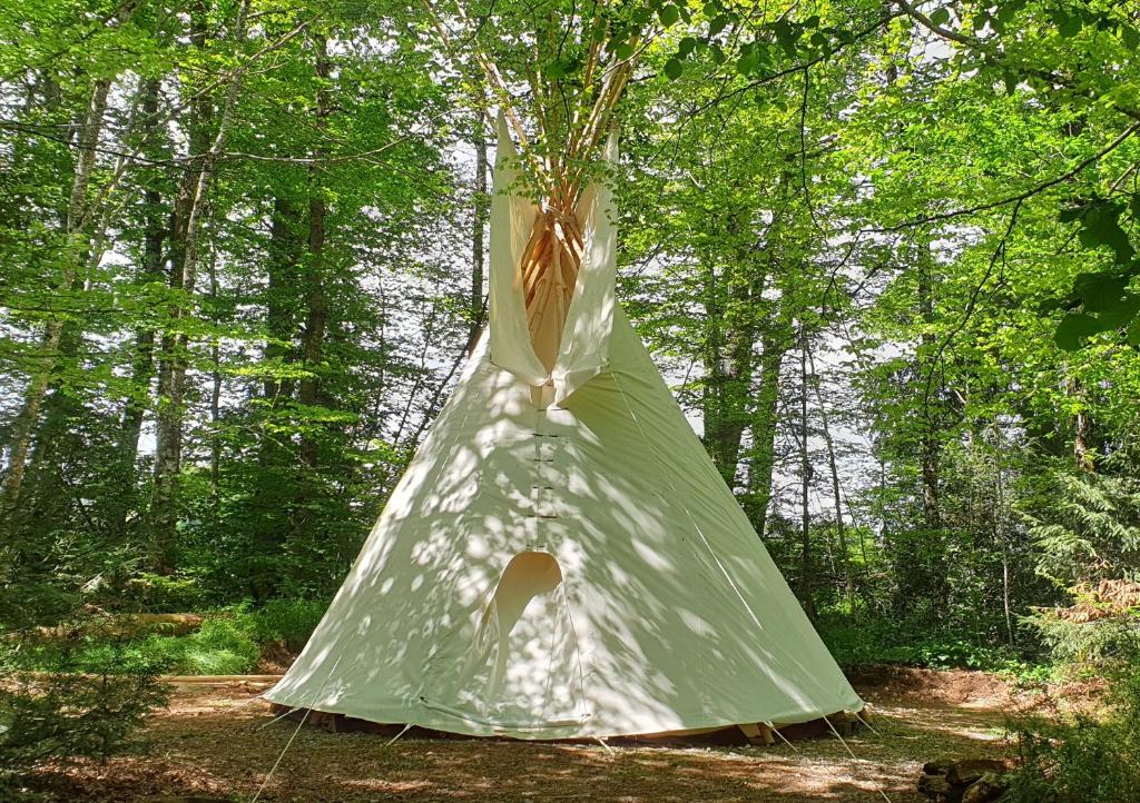 讷维克Tipi - Camping Le Soustran的森林中央的绿色帐篷