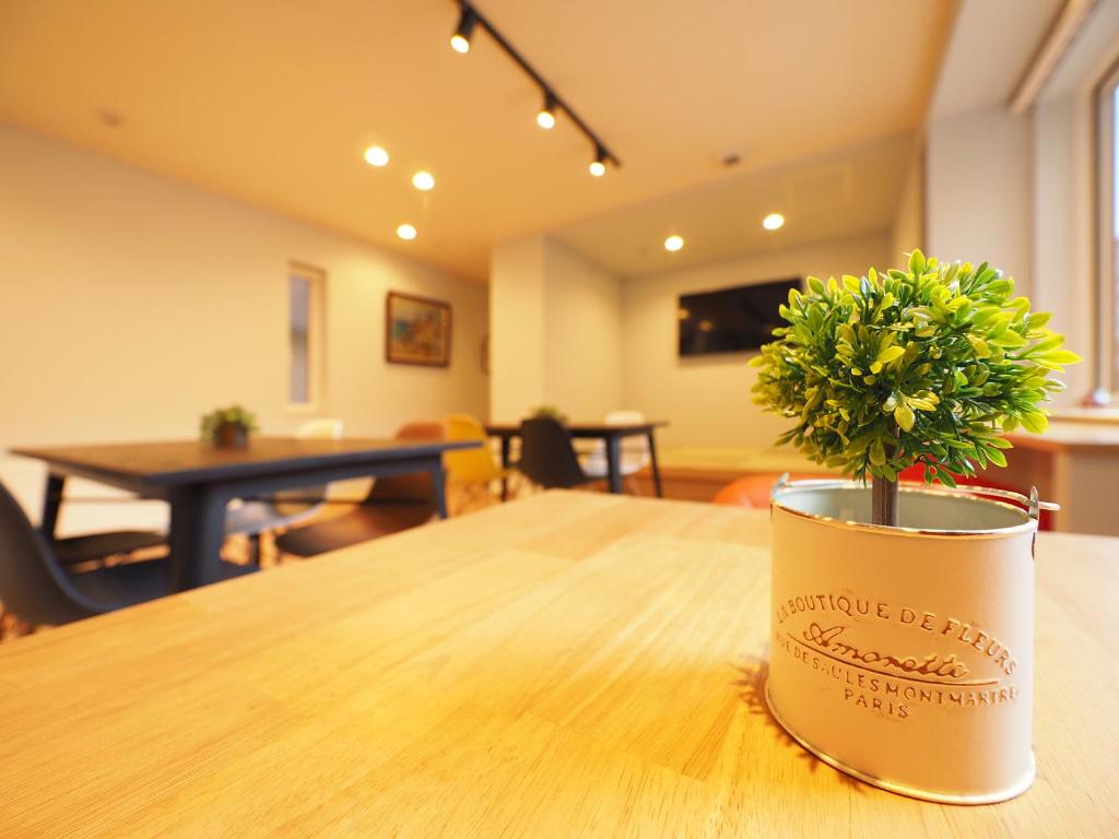 札幌Family Tree Guest House的坐在桌子上的一个盆栽植物