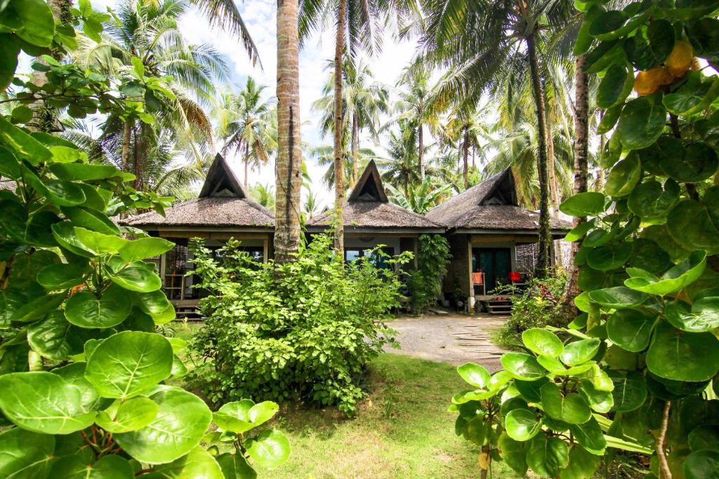 卢纳将军城Ferra Resort Siargao的前面有棕榈树的房子