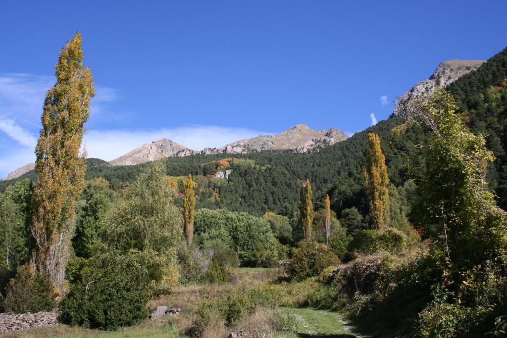 萨连特加列戈Casa con jardín Sallent的山林背景