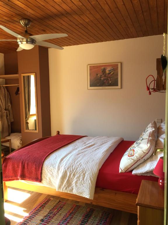 杜萨尔Lac d'Annecy的卧室内的一张床位,配有吊扇