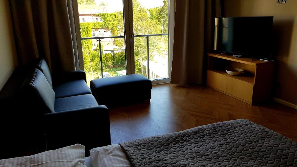 弗罗茨瓦夫Apartament Wrocław Marina nad Odrą 29的一间卧室设有一张床、一台电视和一个窗口。