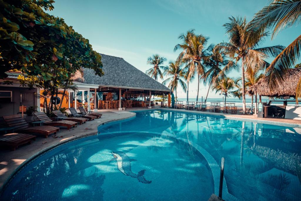 雅科Selina Jaco的棕榈树度假村前的游泳池