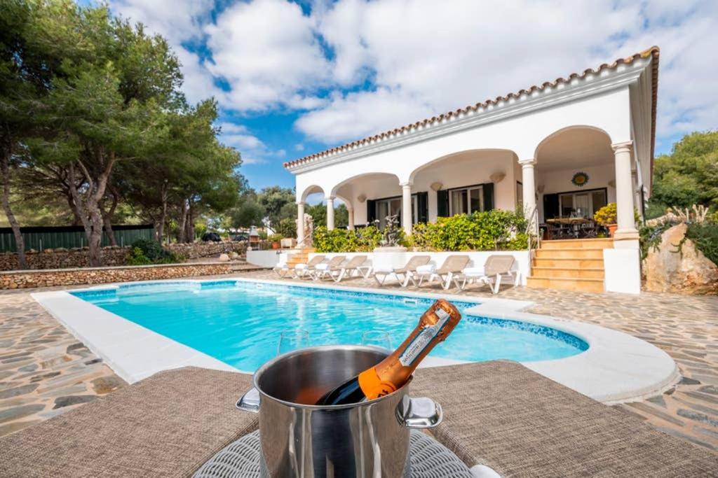 比尼贝卡Villa Luxury的游泳池旁桶装的一瓶啤酒