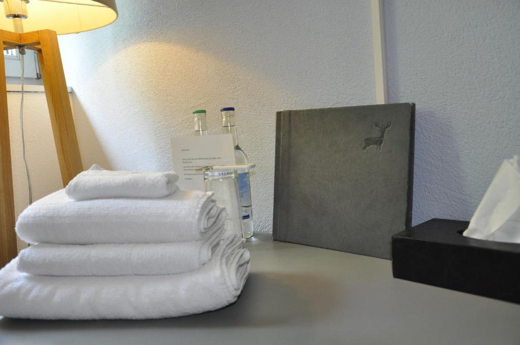 Hotel zum Hirschen客房内的一张或多张床位