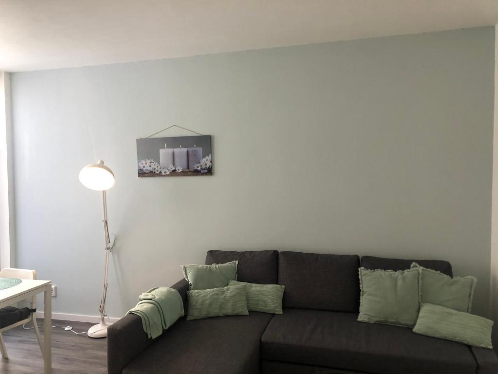 莱顿Poelgeeststraat的客厅配有带绿色枕头的棕色沙发