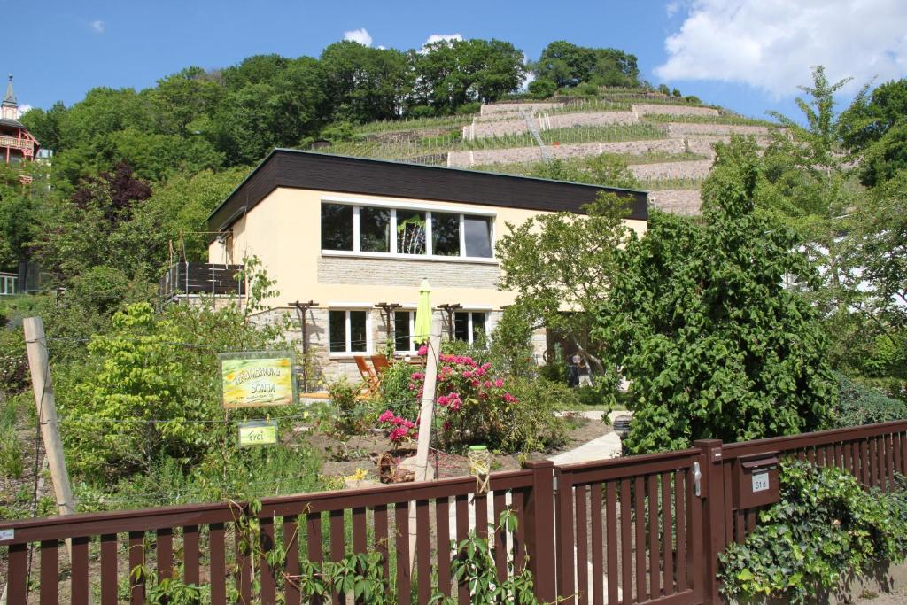 拉德博伊尔Ferienwohnung Sonja am Weinberg的山丘上带围栏的房子