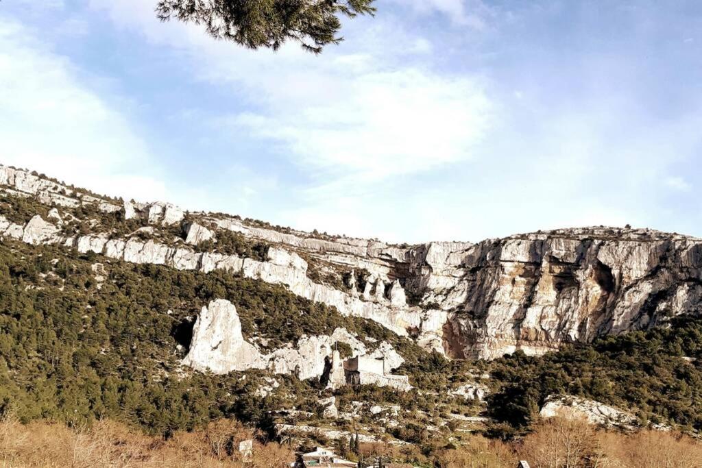 方丹·德·沃克吕兹Vue panoramique sur le château,montagne et grottes的山中隧道的景色