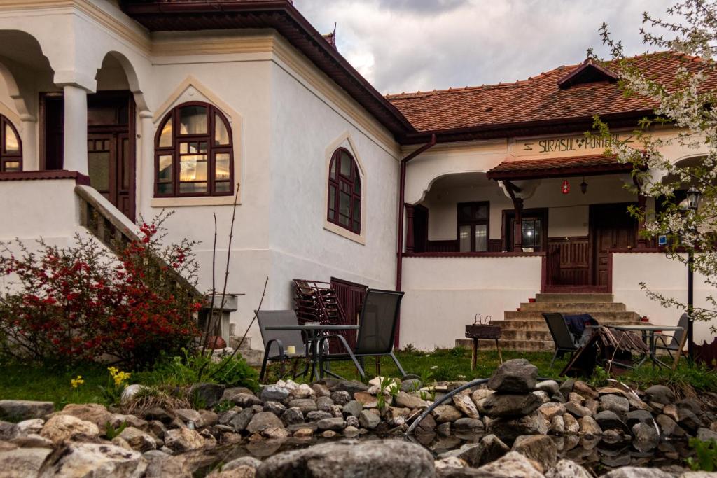 DragoslaveleSurasul Muntelui的前面有岩石花园的房子