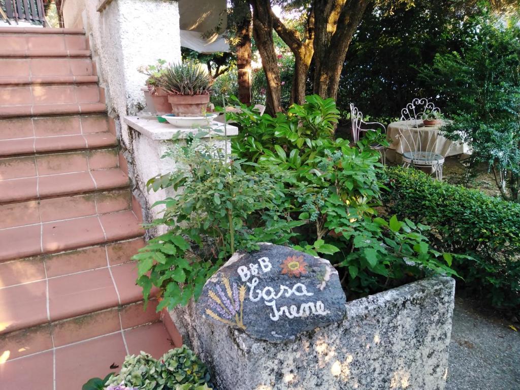 托里迪夸尔泰索洛卡萨艾琳住宿加早餐旅馆的花园,在岩石上标有标志,靠近一些植物