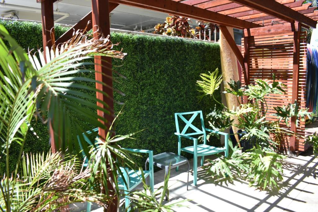 檀香山波里尼西亚海滩俱乐部旅馆的一个带两把椅子和绿色树 ⁇ 的花园