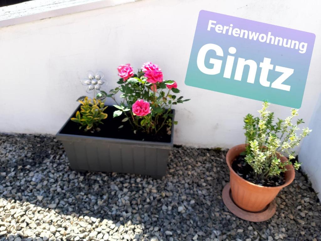 布利斯卡斯特尔Ferienwohnung Haus Gintz的两株盆栽植物,坐在墙上,有标志