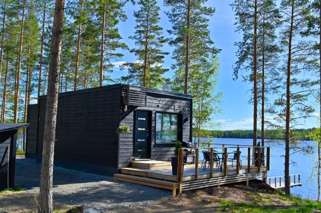 维塔萨里TOP Star Lakeland Viitasaari的湖岸上的一座黑色小房子
